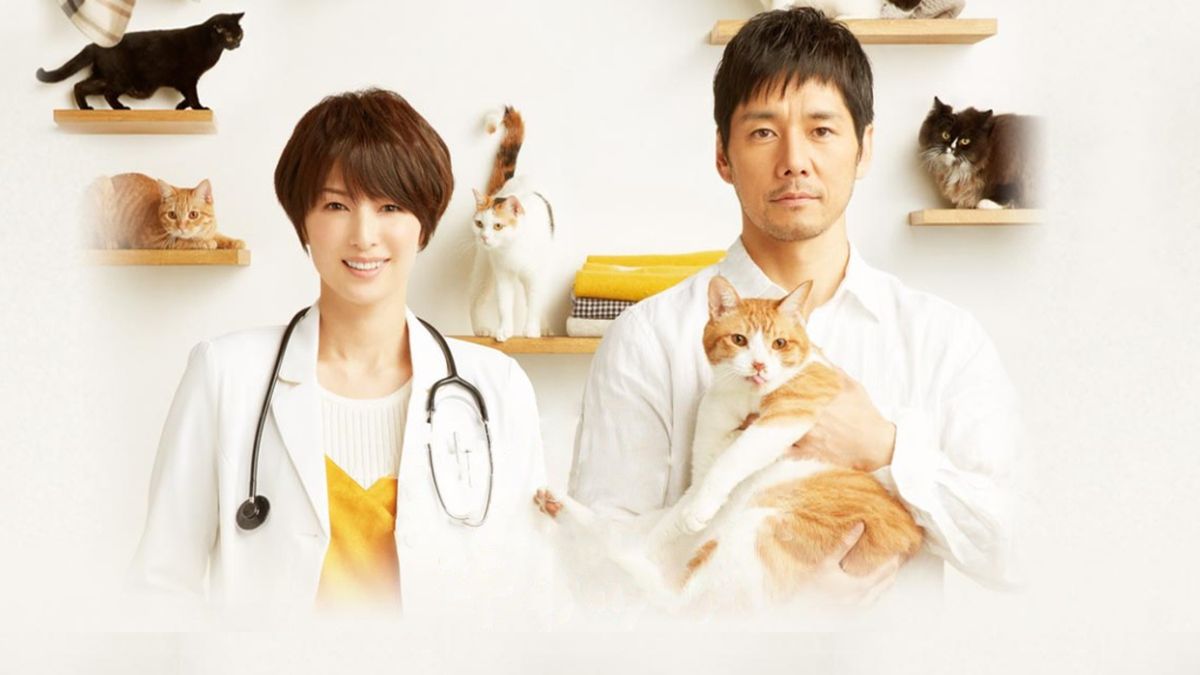 Blanket Cats Drama (2017) SensCritique