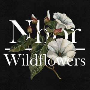 Wildflowers: Summer (EP)