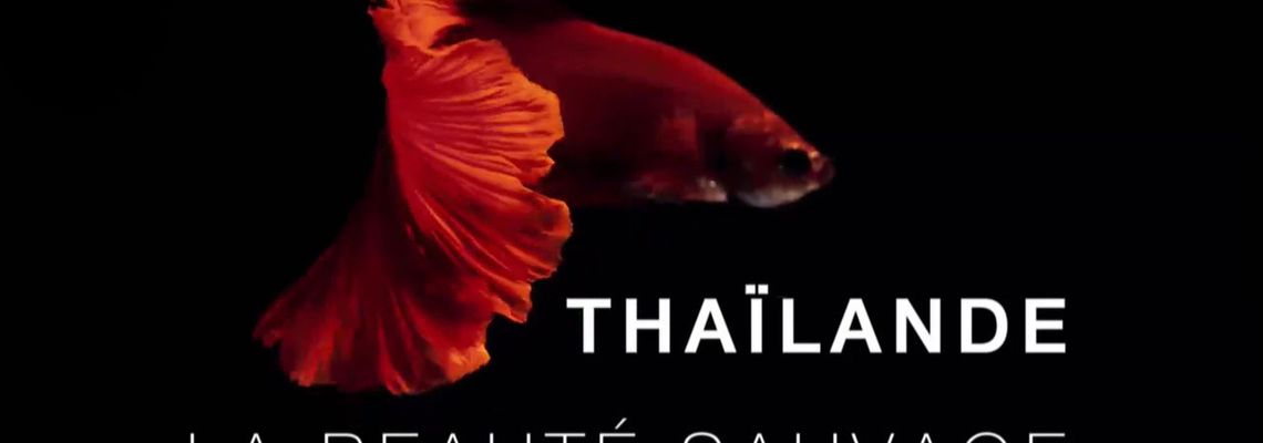 Cover Thaïlande, la beauté sauvage