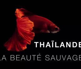image-https://media.senscritique.com/media/000017104643/0/Thailande_la_beaute_sauvage.jpg