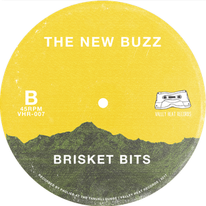 Valley of Silence (Single)