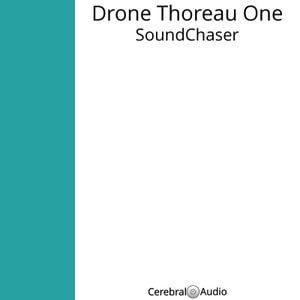 Drone Thoreau One V1