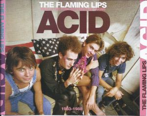 Finally the Punk Rockers Are Taking Acid: 1983–1988
