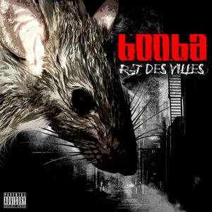 Rat des villes