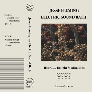 Heart & Insight Meditations