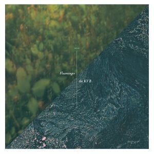 Flaamingos / The KVB Split EP (EP)