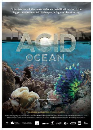 Quand les océans deviennent acides