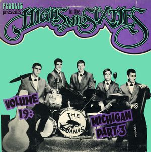 Highs in the Mid Sixties Volume 19: Michigan Part 3