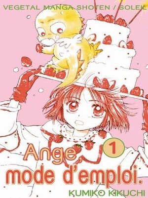 Ange mode d'emploi