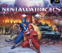 image-https://media.senscritique.com/media/000017152579/0/the_ninja_warriors.jpg