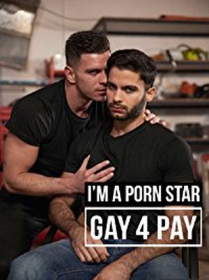 I'm a Porn Star: Gay4Pay