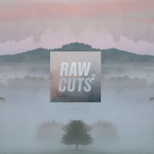 Chillhop Raw Cuts 2