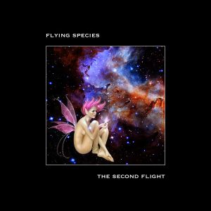 The Second Flight
