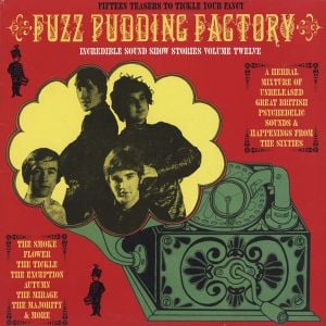 Incredible Sound Show Stories, Volume 12 - Fuzz Pudding Factory