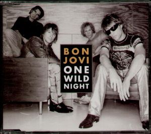 One Wild Night (Single)