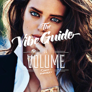 The Vibe Guide, Volume 4