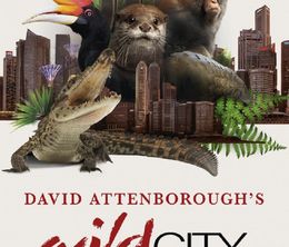 image-https://media.senscritique.com/media/000017163606/0/david_attenborough_s_wild_city.jpg