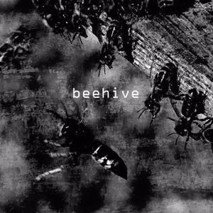 Beehive (Single)