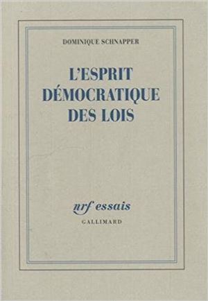 L'esprit démocratique des lois