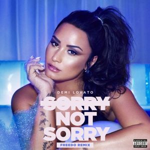 Sorry Not Sorry (Freedo remix)