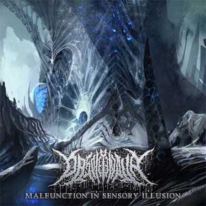 Malfunction in Sensory Illusion (EP)