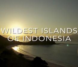 image-https://media.senscritique.com/media/000017178065/0/Wildest_Islands_of_Indonesia.jpg