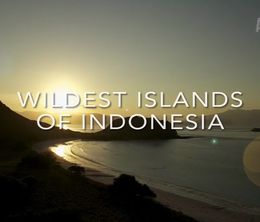 image-https://media.senscritique.com/media/000017178066/0/Wildest_Islands_of_Indonesia.jpg