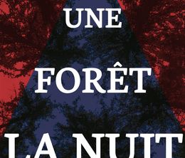 image-https://media.senscritique.com/media/000017190185/0/dans_une_foret_la_nuit.jpg