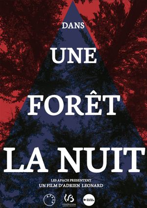 Dans une forêt, la nuit