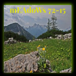 mEAdoWs 72–15 (Single)
