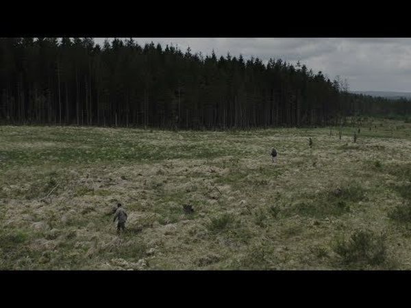 Dans une forêt, la nuit