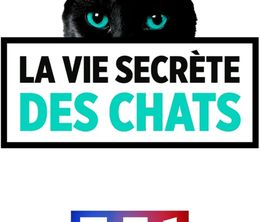 image-https://media.senscritique.com/media/000017194513/0/la_vie_secrete_des_chats.jpg