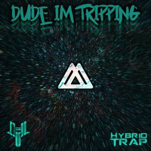 Dude I'm Tripping (Single)