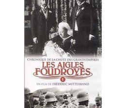 image-https://media.senscritique.com/media/000017197974/0/les_aigles_foudroyes.jpg
