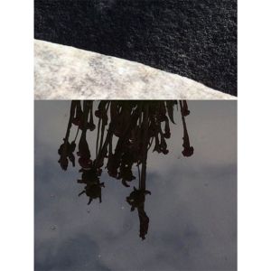 Bifurcation & Bereavement (EP)