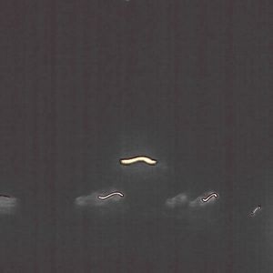 Blast This (Single)