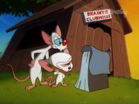 Le souris club