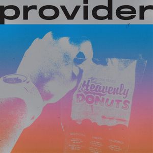 Provider (Single)