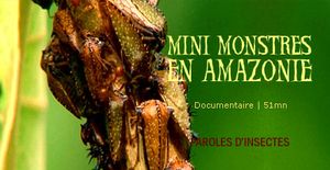 Mini-monstres en Amazonie