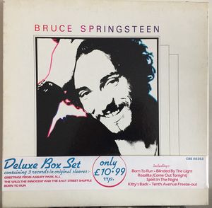 Greetings From Asbury Park, N.J. / The Wild, the Innocent and the E Street Shuffle / Born to Run