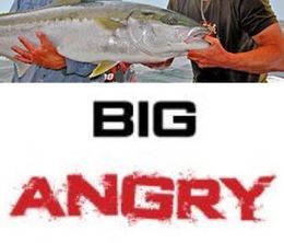 image-https://media.senscritique.com/media/000017220343/0/big_angry_fish.jpg