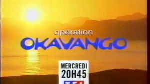 Opération Okavango