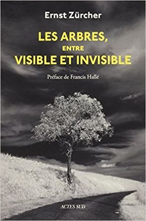 Les Arbres, entre visible et invisible