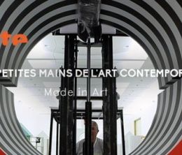 image-https://media.senscritique.com/media/000017231781/0/les_petites_mains_de_l_art_contemporain.jpg