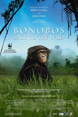 Affiche Bonobos