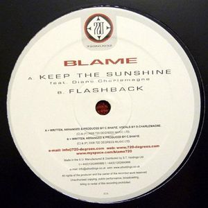 Keep the Sunshine / Flashback (Single)