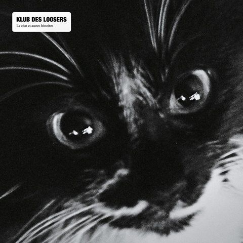 Klub des Loosers - Le Chat Et Autres Histoires torrent Klub des Loosers - Le Chat Et Autres Histoires torrent