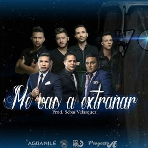 Me vas a extrañar (Single)