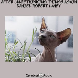 After Un-Rethinking Things Again