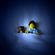 Avatar Arthur Beurton Avatar Arthur Beurton